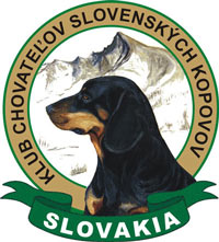 kopov_logo-200px